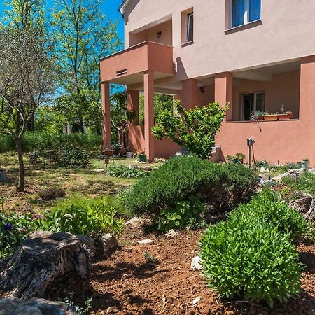 Apartman Micko Привлака Экстерьер фото